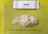 De vette van het Natrium (T3) CAS 55-06-1 Bodybuilding Steroid 99% van Liothyronine van Verliessteroïden Prijs van de de Zuiverheidsfabriek