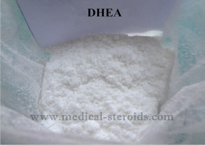 Poeder van de Steroïdenprohormone van DHEA het Ruwe verliest Vette Aanwinstenspier Dehydroisoandrosterone CAS 53-43-0